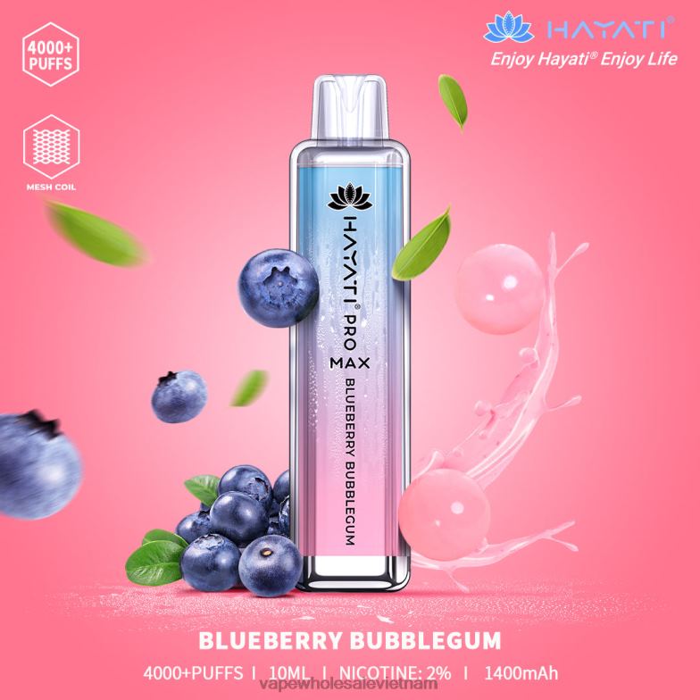 kẹo cao su việt quất
