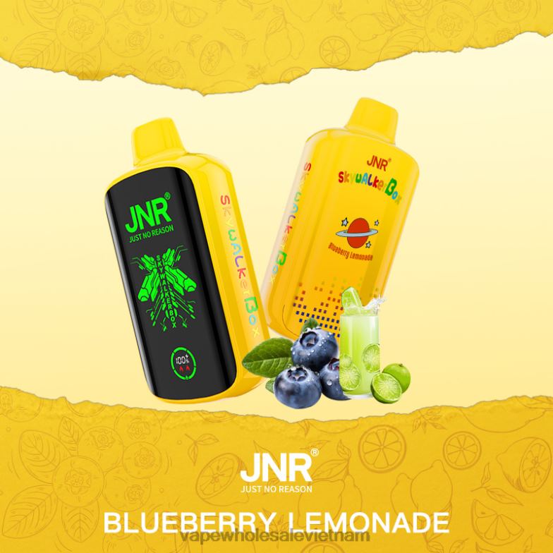 Blueberry Lemonade