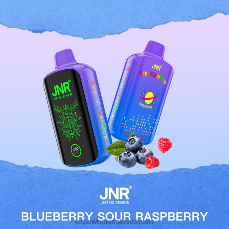 vape wholesale vietnam 0PPFD585 mâm xôi chua việt quất JNR SKYWALKER BOX