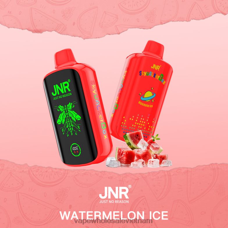 vape wholesale vietnam 0PPFD595 đá dưa hấu JNR SKYWALKER BOX