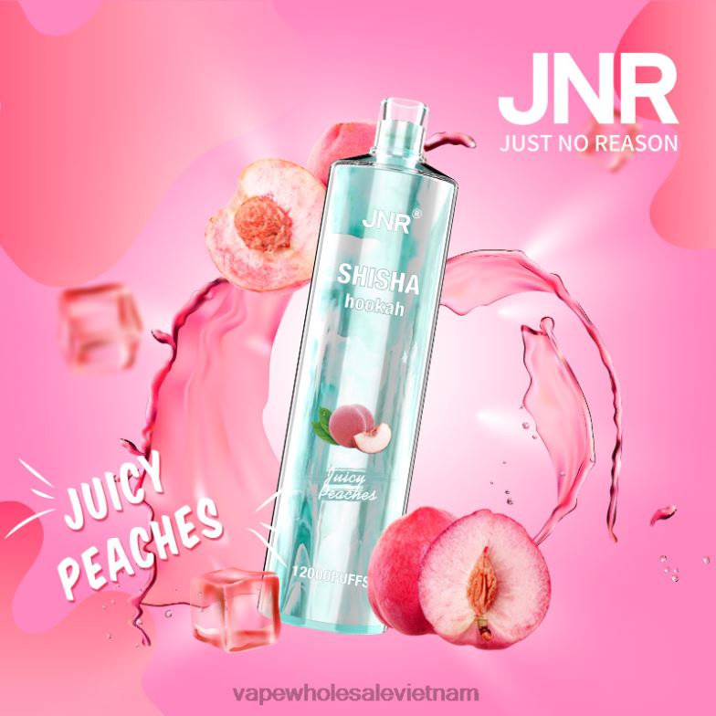 vietnam vape store 0PPFD680 đào ngon ngọt JNR SHISHA