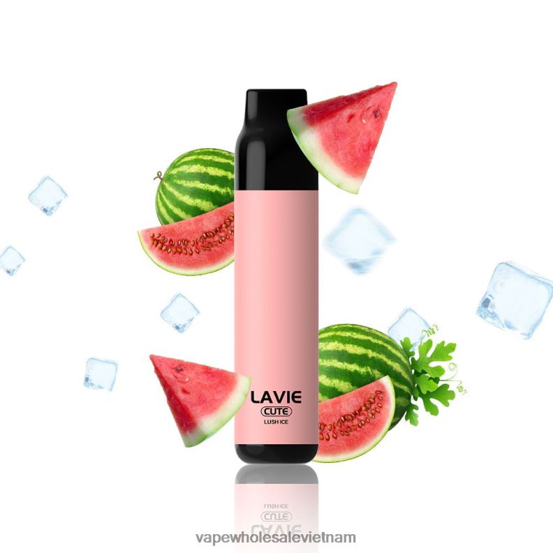 Vape Wholesale Vietnam 8D8NH285 LAVIE BAR 3000 hơi thở băng tươi tốt