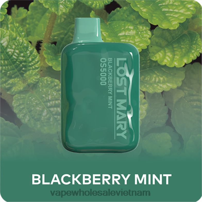 vape wholesale vietnam 0PPFD485 bạc hà dâu đen LOST MARY OS5000