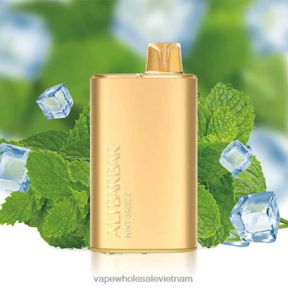 Vape Vietnam Hanoi 2R46F8 Alibarbar Rich 8000 vape dùng một lần gió bạc hà