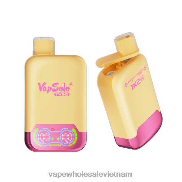 Vietnamese Vape 2R46F129 Vapsolo TWINS vape dùng một lần đá dưa hấu & xoài dâu