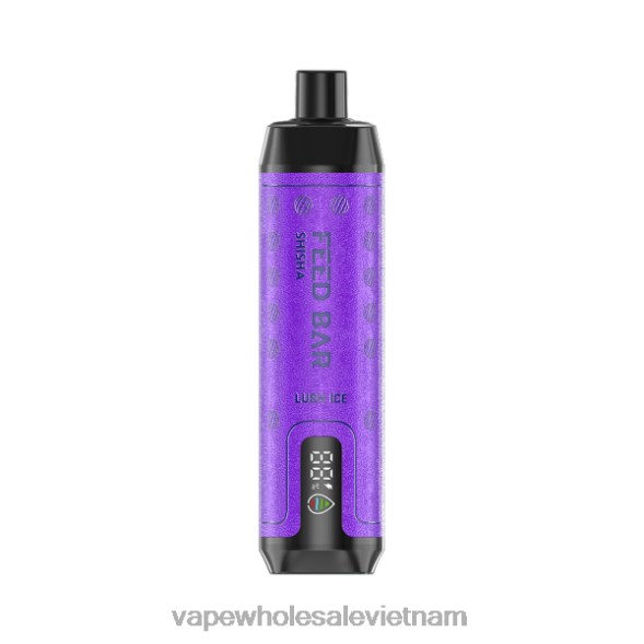 Thuốc Lá Điện Tử Xlim 2R46F102 Vapsolo SHISHA vape dùng một lần băng tươi tốt