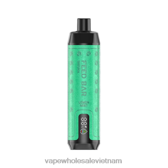 Vape Dùng Một Lần 2R46F101 Vapsolo SHISHA vape dùng một lần bạc hà chanh