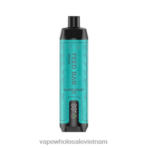 Vape Vietnam 2R46F96 Vapsolo SHISHA vape dùng một lần đá nho đen