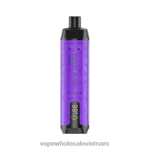 Vietnam Vape Store 2R46F100 Vapsolo SHISHA vape dùng một lần bạc hà nho