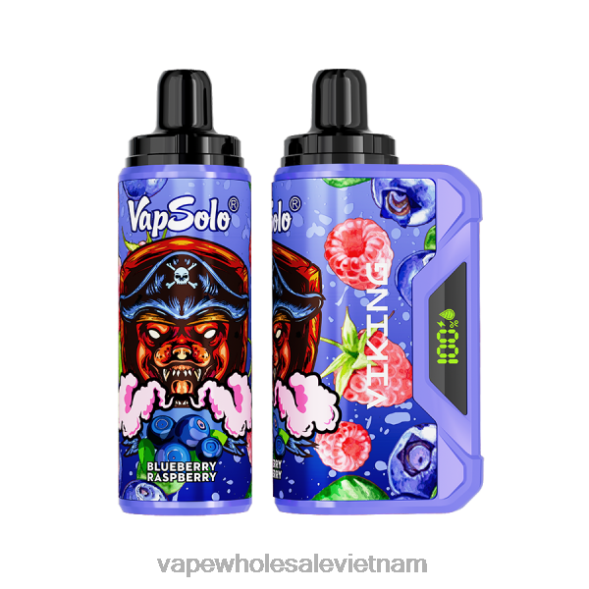 Thuốc Lá Điện Tử Xlim 2R46F132 Vapsolo VIKING vape dùng một lần mâm xôi việt quất