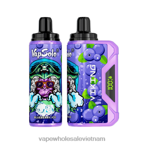 Vietnam Vape Store 2R46F130 Vapsolo VIKING vape dùng một lần quả việt quất