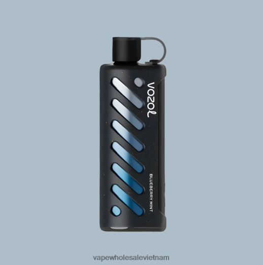 Vape Dùng Một Lần 4688B81 VOZOL thiết bị shisha 25000 đa